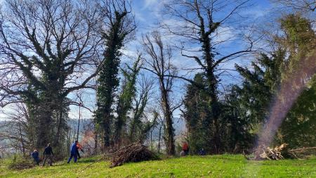 Park dvorca 1
